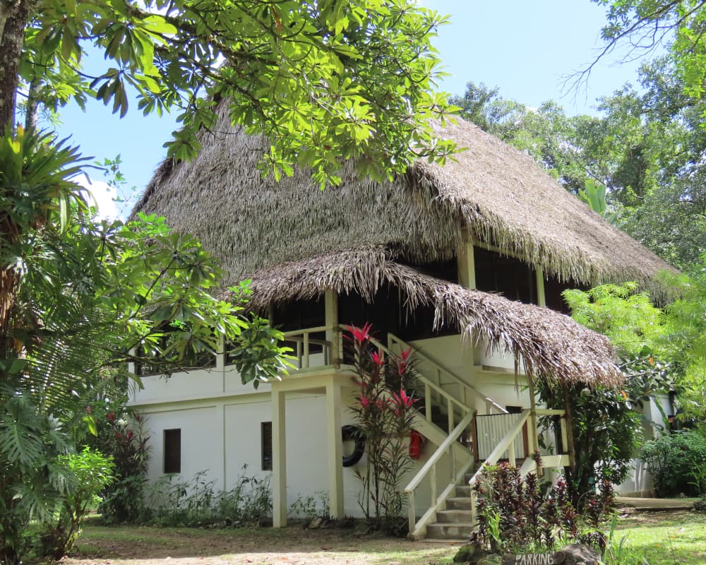 Why buy a rainforest lodge near Punta Gorda, Belize?