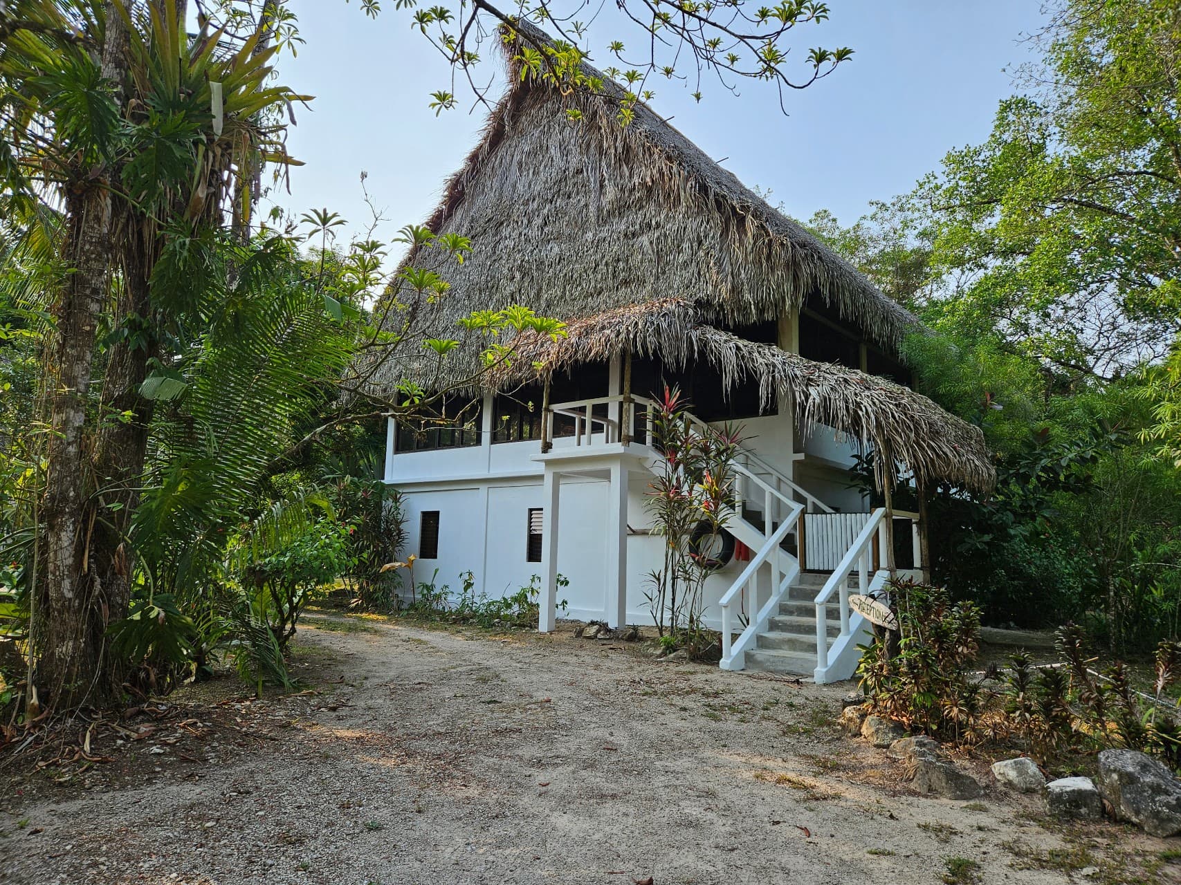 Revitalizing Paradise